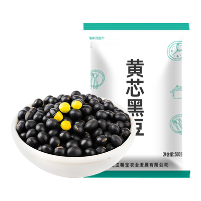 东北黄芯黑豆当季新豆可发芽