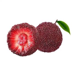 杨梅鲜果速冻仙居杨梅泡酒专用冰杨梅袋装杨梅5斤特产孕妇水果