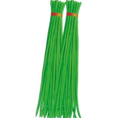 长豆角种子苗秧豇豆四季豆蔬菜种籽大全孑豆角苗豆种无架豆角芸豆