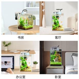 创意生态鱼缸超白造景懒人微景观DIY室内客厅迷你生态瓶免换水