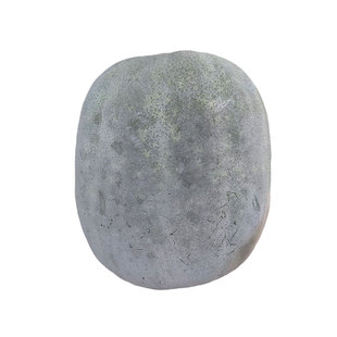 一串铃冬瓜种子粉皮小冬瓜种籽四季盆栽菜种籽秋季瓜果蔬菜种子孑