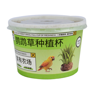 鹦鹉食用草籽麦芽草小麦种子牡丹虎皮玄凤小太阳专用零食粮食草盒