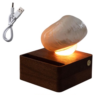 创意手作海螺桌面手机扩音支架装饰摆件氛围感充电款小夜灯礼物