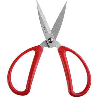 张小泉剪刀家用裁缝小剪刀剪线头裁布剪彩剪纸剪刀专用尖头大剪子