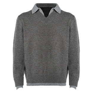 RuleByMe 人夫感高智穿搭假两件V领仿羊绒polo针织衫软糯老钱毛衣