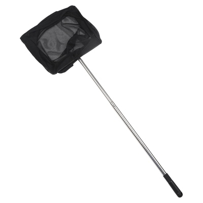 圆方形手抄金鱼观赏鱼