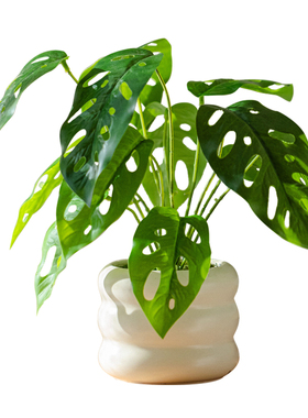 掬涵仿真绿植小盆栽奶油风摆件