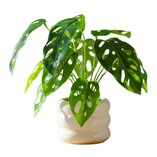 掬涵仿真绿植小盆栽装饰仿生假植物高级感客厅办公室桌面摆件饰品