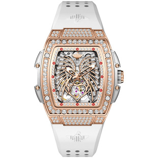 瑞士认证正品牌专卖店新款轻奢小众女表进口机芯机械表高档十大