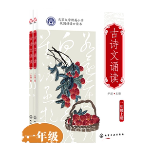 古诗文诵读 一年级 上册 下册  6-12岁儿童小升初语文古诗词课外读本 经典古诗词文言文欣赏诵读 北大附小学生人手一册古诗文读本