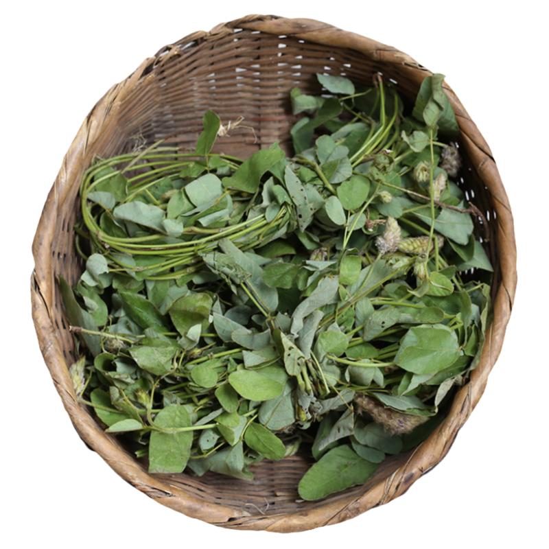 狸尾草干货深山农家自晒无硫药材