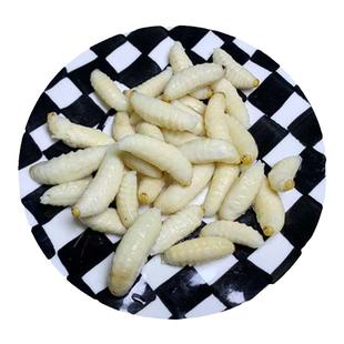 金环虎头蜂蛹一级500g新鲜马蜂蛹鲜活速冻蚂胡蜂葫芦蜂黄蜂仔野生