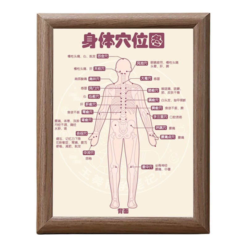 中医人体穴位图解养生木质挂框