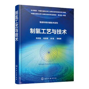 制氢工艺与技术 制氢技术书籍 零CO2排放制氢技术方法 制氢工艺 可供从事能源研究的工程技术人员参考 高等学校相关专业教材书籍