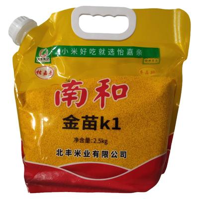河北邢台 南和金米 金苗k1 2025年新小米黄小米熬粥农家自种植