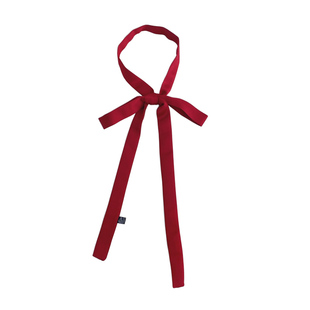 夏季极简细条缎面丝巾 男女通用长条飘带领巾纯色装饰夜店小丝带