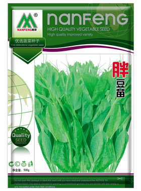 无须豆尖种子四川豌豆苗芽苗菜