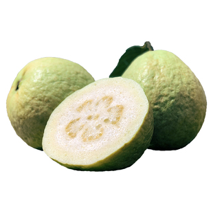 盐芭®【珍珠芭乐】硬脆5斤7颗±脆甜番石榴【陈老师芭乐】