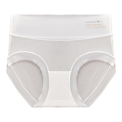 冰丝高腰内裤女5A纯棉抗菌裆包臀