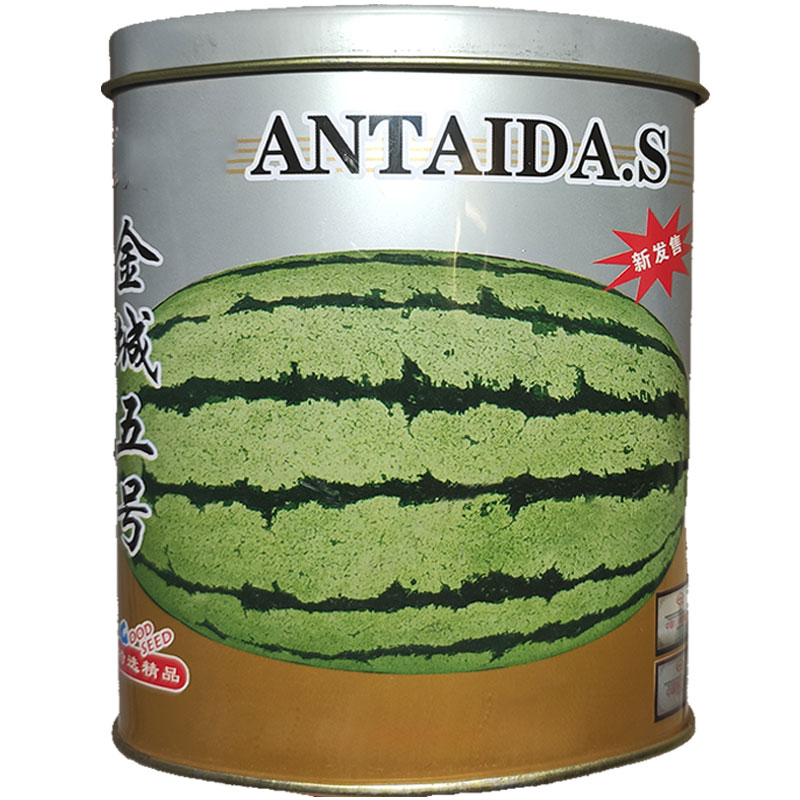 巨型耐重茬中晚熟长椭圆西瓜种子