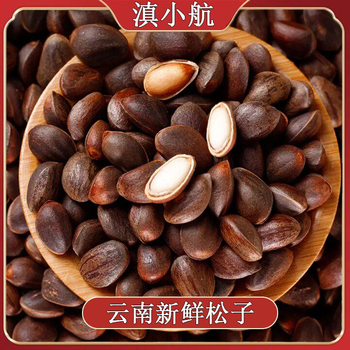 送夹子云南新鲜薄壳松子松仁磕着生吃清甜清香散装零食