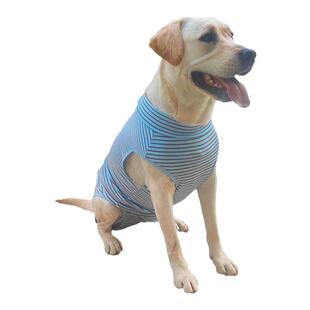 泰旺大型犬春秋季包肚高领条纹背心衣服护肚子母狗绝育术后护理服