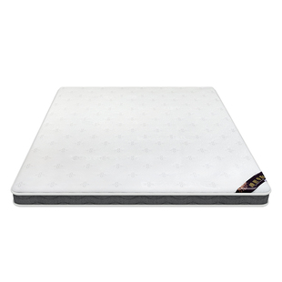 榻榻米床垫定制任意尺寸可折叠榻榻米儿童床垫乳胶租房椰棕床垫子