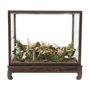 【萤火之森】萤火虫模型可呼吸发光仿真家居生态微景观玻璃罩摆件