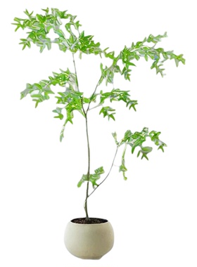 南天竹仿真绿植高端轻奢假树高级仿生客厅室内高档装饰直播间摆件