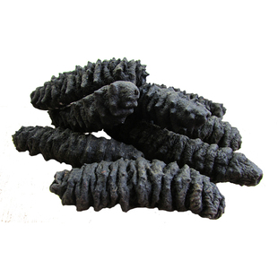 北海淡干海参刺参干货 底播纯野生花刺参 海鲜干货特价250g包邮