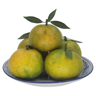 2025年新会柑鲜果梅江圈枝陈皮原枝小青柑鲜果二红果大红果茶枝柑