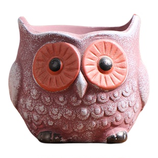 创意水壶拇指多肉花盆陶瓷特价家用阳台陶土粗陶控根小号陶盆清仓