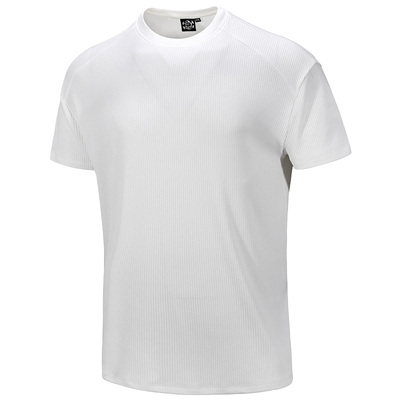 肌肉狗运动休闲短袖T恤男