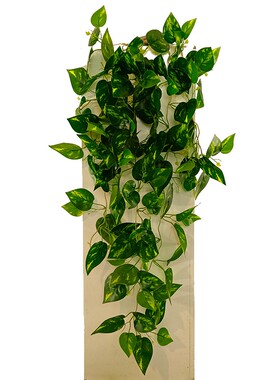 海虹景观仿真绿植壁挂垂吊植物