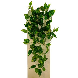 仿真绿植壁挂藤条室内吊顶垂吊藤条绿色植物波斯蕨类挂墙壁装饰