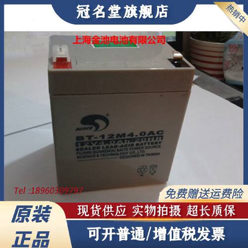 议价原装 台湾赛特 12V4.0AH BT-12M4AC 铅酸免维护蓄电池