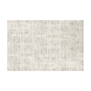 CCF 镜湖意式轻奢风可拆洗地毯客厅无胶高级感大宅沙发卧室防猫抓