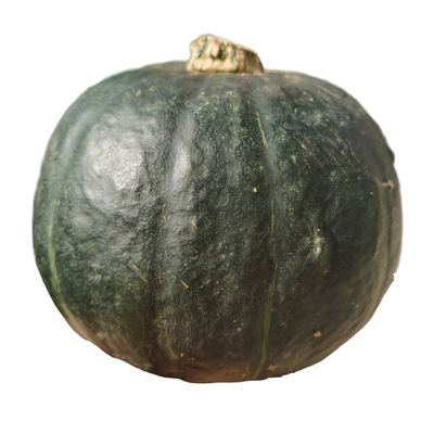 限量抢！大南瓜煮粥做菜黑栗菜瓜