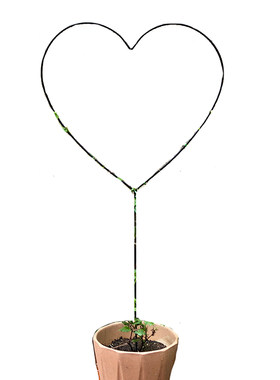 心形花架爬藤架铁线莲茉莉2套
