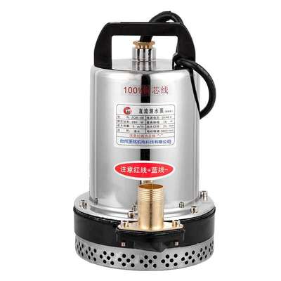 电动车高扬程大流量农用抽水机