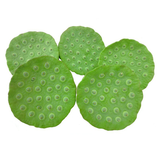洪湖莲蓬新鲜莲蓬生吃现摘湖北特产嫩莲子米鲜嫩水果莲蓬顺丰京东