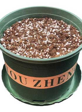透气加仑盆泥炭土加厚树脂塑料花盆多肉种子种球土大口径矮胖盆景