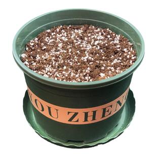 透气加仑盆泥炭土加厚树脂塑料花盆多肉种子种球土大口径矮胖盆景