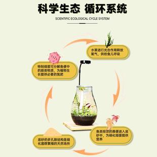 十二星座创意diy生态瓶迷你水族箱小鱼微景观办公桌面小型玻璃鱼