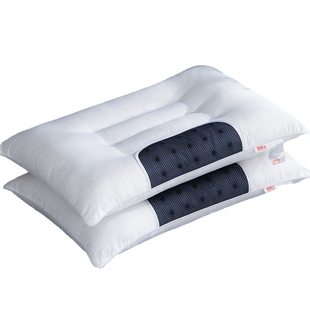 整头枕头枕芯加枕套平矮低枕薄款偏硬荞麦皮决明子一对装家用柔软