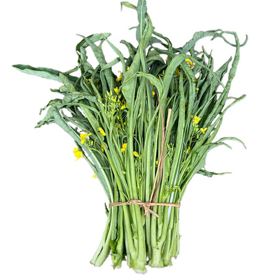 只卖三个月广西桂林柳叶菜花菜