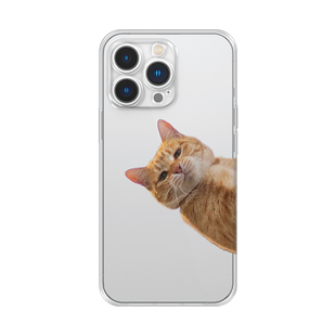 铲屎官宠物猫咪可爱情侣抠图适用苹果iPhone17/16promax猫狗mate70pro硅胶手机壳图片定制生日礼物定做小米15