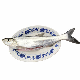 安徽特产水产干货风干白鱼翘嘴鱼刁子鱼干白条鱼大白刁餐条鱼500g