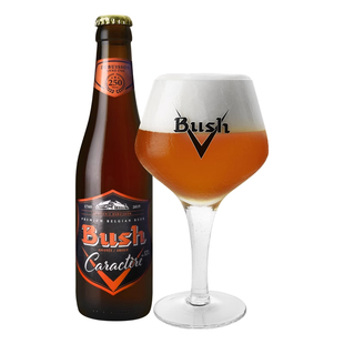 比利时进口精酿啤酒琥珀/水蜜桃12度啤酒 Bush布什啤酒330ml*6瓶