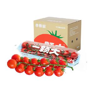 一颗大串收樱桃番茄小西红柿酸甜孕妇水果新鲜自然熟